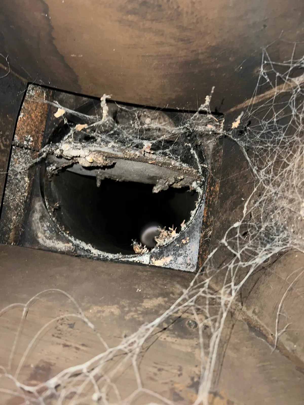 Chimney Services around me